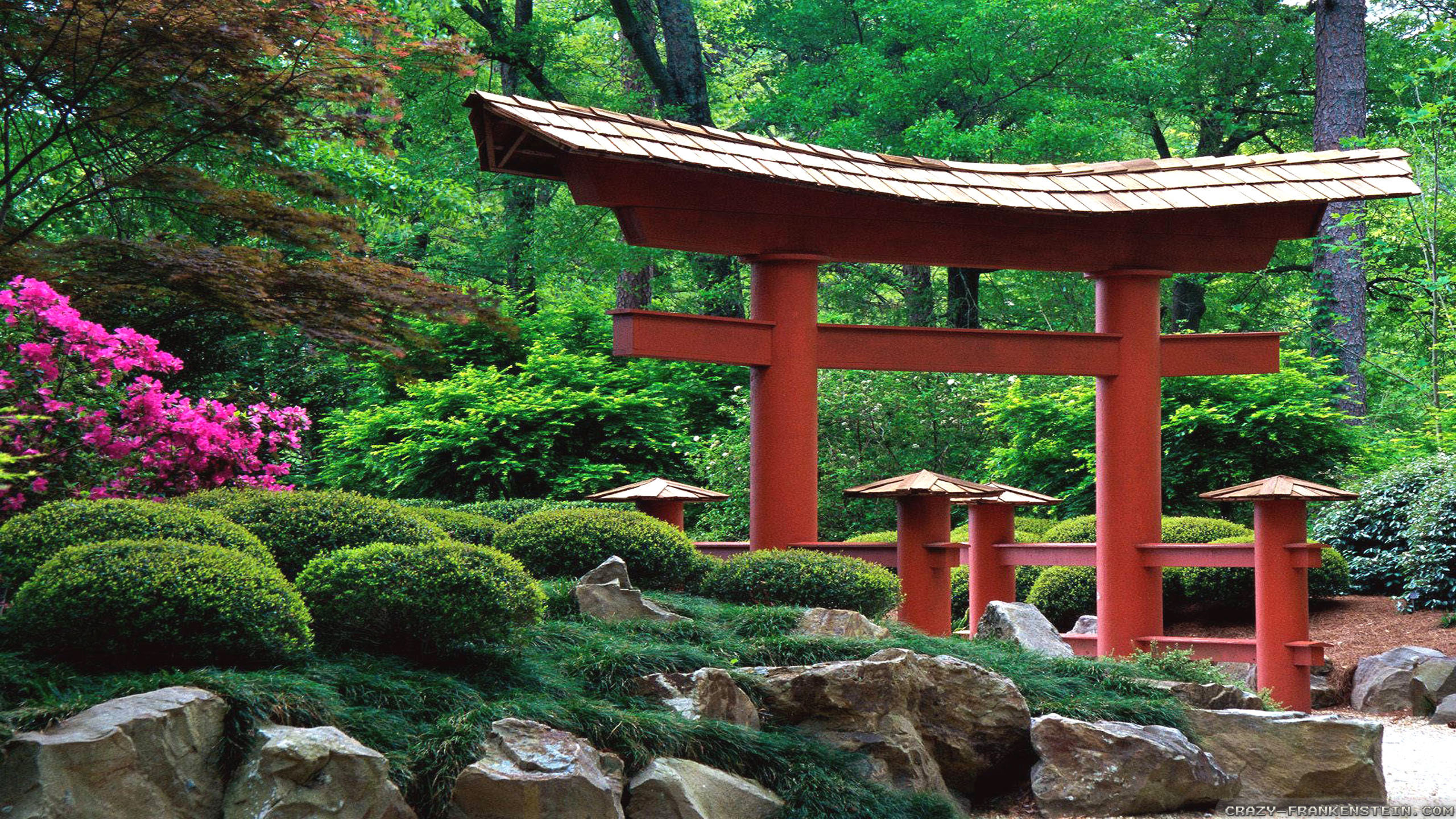 Забронировать столик в японском саду. Древнекитайский ландшафтный сад. Киотский Ботанический сад в Японии. Японский сад синтоизм.