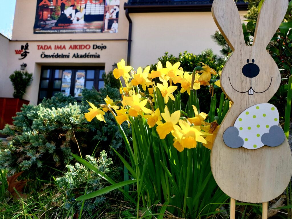 tadaimaaikido húsvét